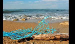 Sacs, canettes... La Méditerranée est la mer la plus polluée d'Europe, selon l'Ifremer