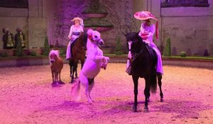 Un spectacle équestre pour les 300 ans des Grandes écuries