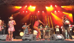 Saveurs jazz festival. Concert Seun Kuti & Egypt 80