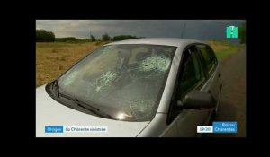 Orages en Charente: voitures et toitures abîmées à Saint-Sornin, village le plus touché
