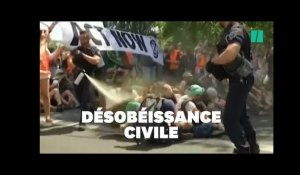 Des militants pour le climat délogés par les lacrymogènes sur un pont de Paris