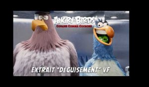 Angry Birds : Copains comme Cochons - Extrait &quot;Déguisement&quot; - VF
