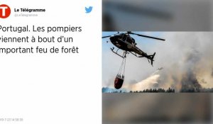 Portugal. Les pompiers ont circonscrit le feu de forêt malgré les conditions difficiles