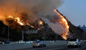 Incendies en Californie : une alerte aux vents violents inquiète