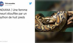 États-Unis. Une femme retrouvée morte avec un python autour de son cou et 140 serpents dans une maison