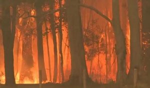 Les incendies en Australie s'intensifient et se rapprochent de Syndey