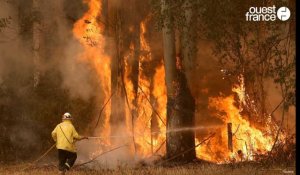 Australie. Des milliers d'hectares détruits par les incendies de brousse