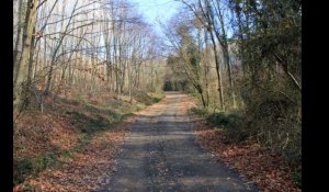 Pas-de-Calais. Un père abandonne sa fille de 3 ans dans sa voiture avant de disparaître dans une forêt