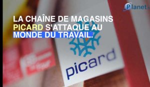 Picard installe des distributeurs automatiques de plats surgelés
