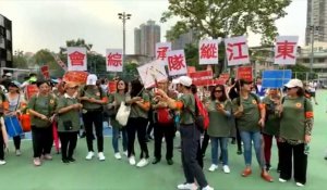 Des partisans pro-Pékin se rassemblent à Hong Kong