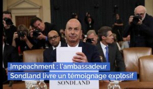 Destitution : l'ambassadeur Sondland témoigne et implique directement Donald Trump