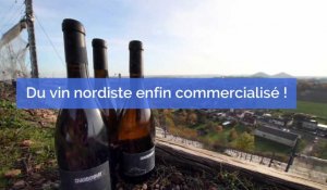 Des vins nordistes enfin commercialisés !