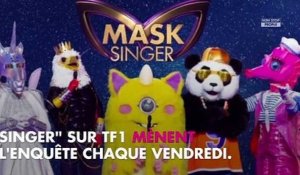 Mask Singer : ces noms de stars qui reviennent le plus souvent