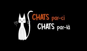 CHATS PAR-CI CHATS PAR-LA| Bande Annonce | Gebeka Films