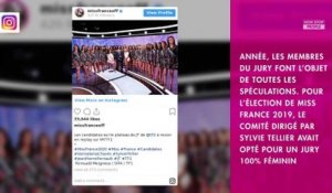 Miss France 2020 : Vitaa, Laëtitia Milot, Denis Brogniart... Le jury dévoilé