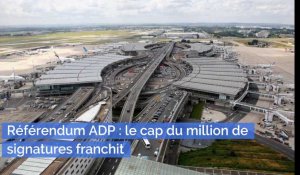 Aéroport de Paris : le projet de référendum dépasse le million de signatures