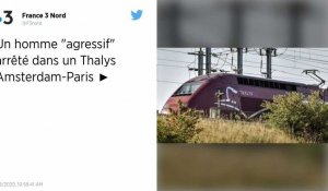 Un homme « agressif » dans un train Amsterdam-Paris : un Thalys arrêté à Rotterdam