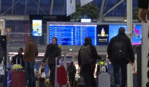 Gare de Lyon: des voyageurs partent en vacances malgré la grève