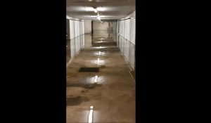 Les sous-sols d'un immeuble sont inondés à Annecy