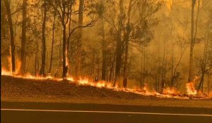 Incendies en Australie : Les pompiers luttent contre le feu