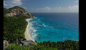 Seychelles. Une touriste française grièvement blessée par un requin