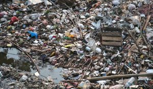 Indonésie: le défi de nettoyer la rivière Jambe recouverte de déchets