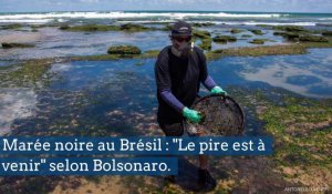 Catastrophe écologique au Brésil : "Le pire est à venir"