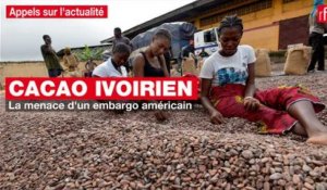 Cacao ivoirien : la menace d'un embargo américain
