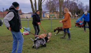 Education canine et agility à Marquillies