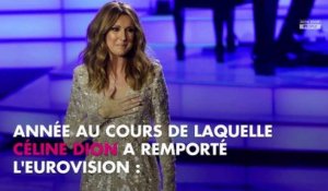 Céline Dion : Un chroniqueur de TPMP balance sur sa sexualité
