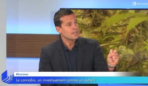 Placement : pourquoi le cannabis est en réalité un investissement "fumeux" !