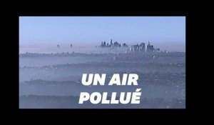 À Sydney, le niveau de pollution est &quot;dangereux&quot; à cause d'un brouillard toxique