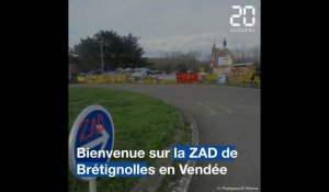 Vendée: Des zadistes protestent contre la construction d'un port de plaisance à Brétignolles sur Mer