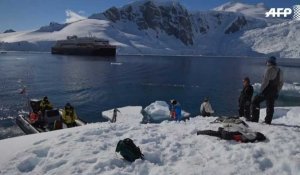 L'Antarctique, aux confins du tourisme