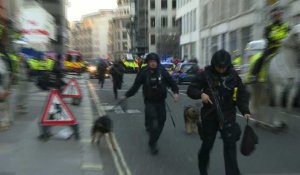 Londres: des policiers avec leurs chiens arrivent sur le lieu de l'attaque
