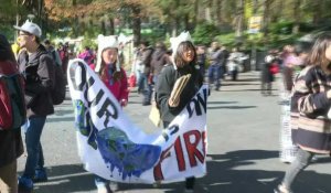 Grève pour le climat: des jeunes Japonais manifestent