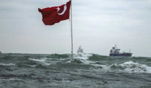 Un cargo fou s'encastre dans le port de Sarıyer, dans le détroit du Bosphore