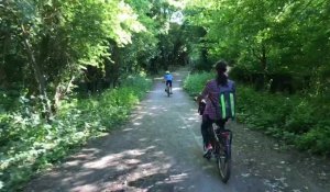 Les chemins du bois de la citadelle d'Arras pour les cyclistes, marcheurs et coureurs