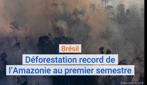 Brésil : déforestation record de l'Amazonie au premier semestre 2020