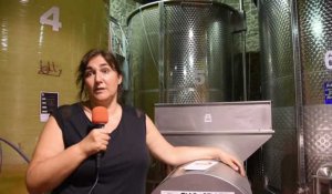Vinifilles : l'association occitane d'entraide entre vigneronnes