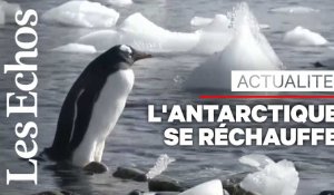 L'Antarctique se réchauffe 3 fois plus vite que le reste du monde