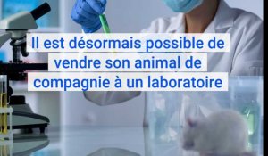 Selon 30 Millions d'amis, il est maintenant possible de vendre son animal de compagnie à un laboratoire
