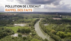 Pollution organique de l'Escaut : rappel des faits