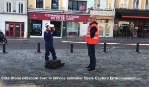 Côté Drone assiste Opale Capture Environnement dans la reconnaissance des nids de nuisibles à Boulogne-sur-Mer 