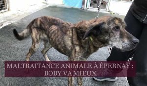 Maltraitance animale à Epernay : Boby va mieux