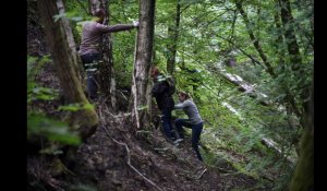 Une battue pour retrouver un sexagénaire disparu à Wallers