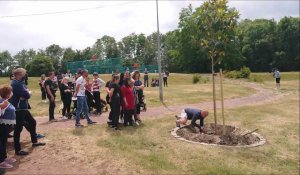 Sallaumines : une cinquantaine de personnes autour d'un magnolia planté en souvenir de Laura Bernard