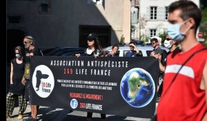 Manifestation à Foix après la mort d'un ours en Ariège