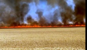 Nointel, Boran-sur-Oise et Sacy-le-Grand : les feux liés à la sécheresse reprennent dans l'Oise