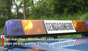 Disparition d'Estelle Mouzin : retour en vidéo sur 17 ans de mystère
